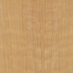 Maple - GL Veneer