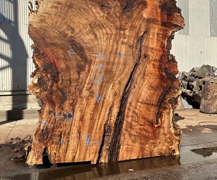 a cottonwood live edge slab