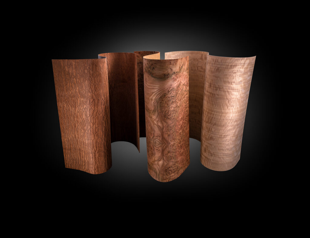 the curved pieces of wood veneer