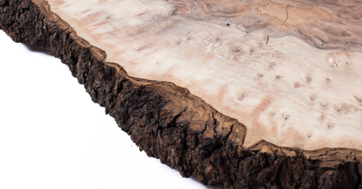 the live edge of a wood slab