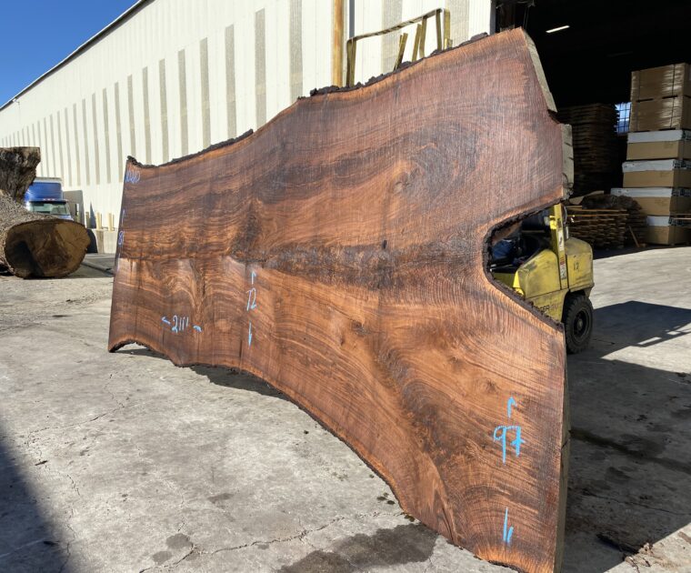 a claro walnut wood slab
