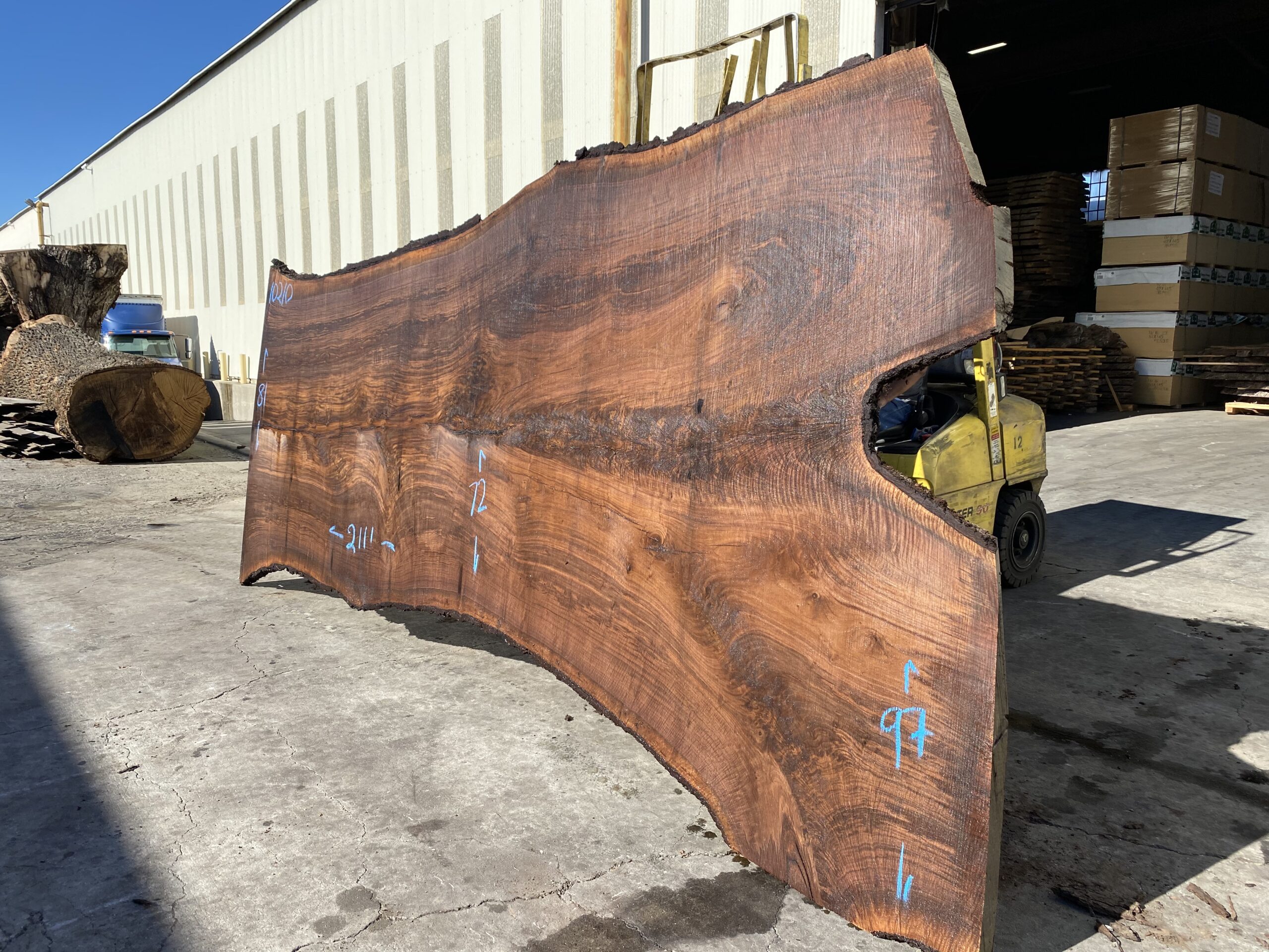 a claro walnut wood slab