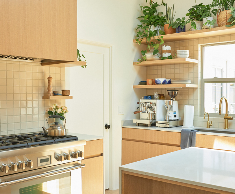 a kitchen with lots of plants