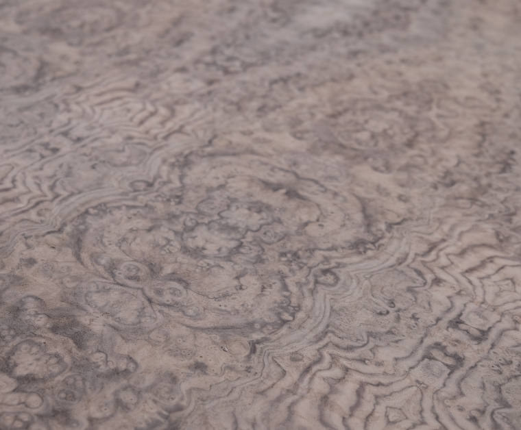 a walnut burl wood veneer sheet zoomed in