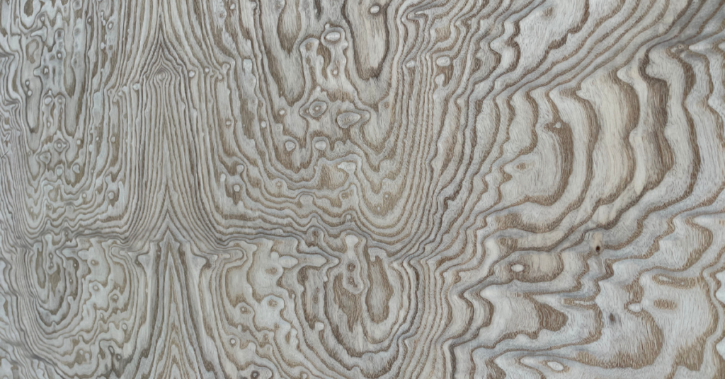 up close of tamo ash burl 