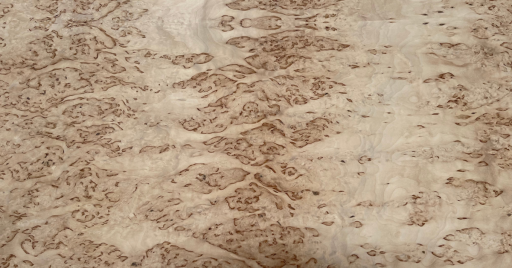 up close of mappa burl wood veneer