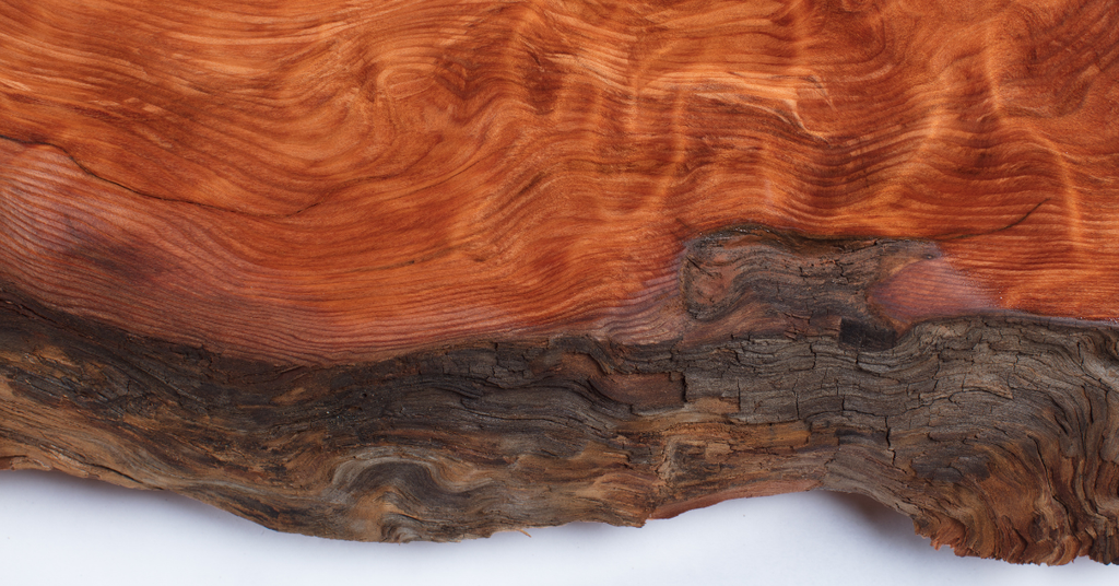 the live edge of a redwood slab
